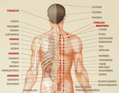 Complex Back Massage